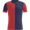 ALTINORDU
