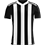 ACADEMIKA COIMBRA